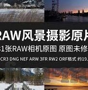 世界杯直皤-世界杯直播，激情与梦想的全球盛宴