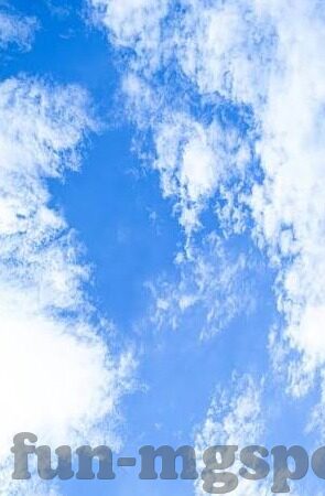 足球比分 500-足球比分狂想曲，500分背后的激情与梦想